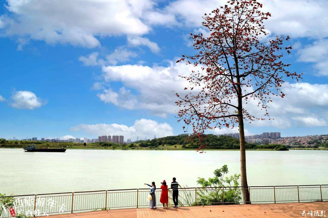 這抹都市嫣紅成為三月花季最優美的終章廣西旅遊年卡