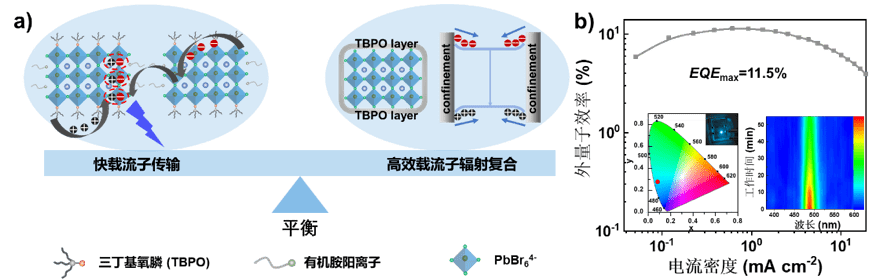 南科大王恺团队在蓝光钙钛矿led领域和钙钛矿单晶薄膜生长机制方面获