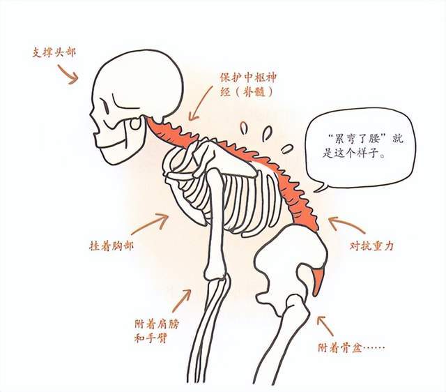 做家务的正确姿势来了,你最想转给谁?