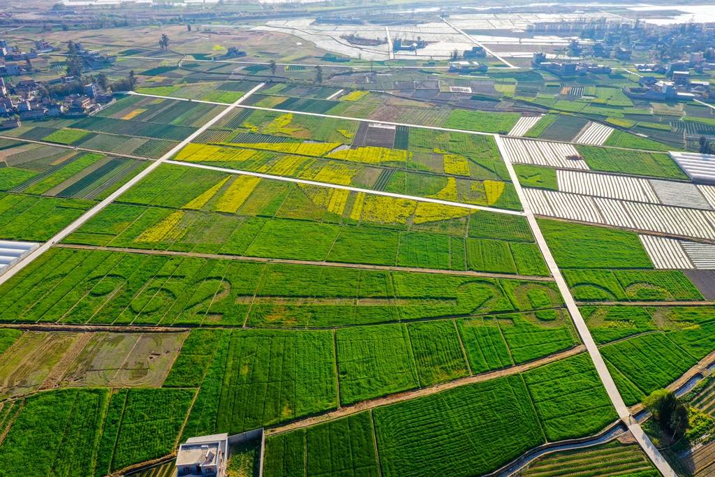 3月17日,冕宁县宏模镇优胜村,田野上刻画出的凉山建州70年的标识.