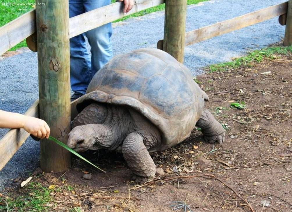 如来:这次稳了_唐僧来_原著_红孩儿