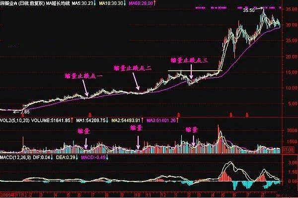 揭秘坐庄全过程