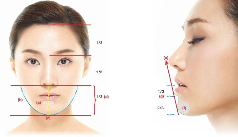 美学_标准_长度