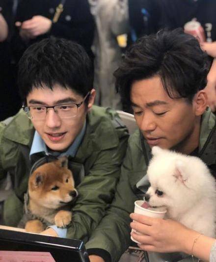 刘昊然这一瞬间萌到我了,深情看着柴犬说"情话":你也要看!