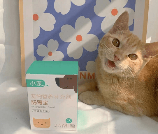 有小宠肠胃宝就够了!