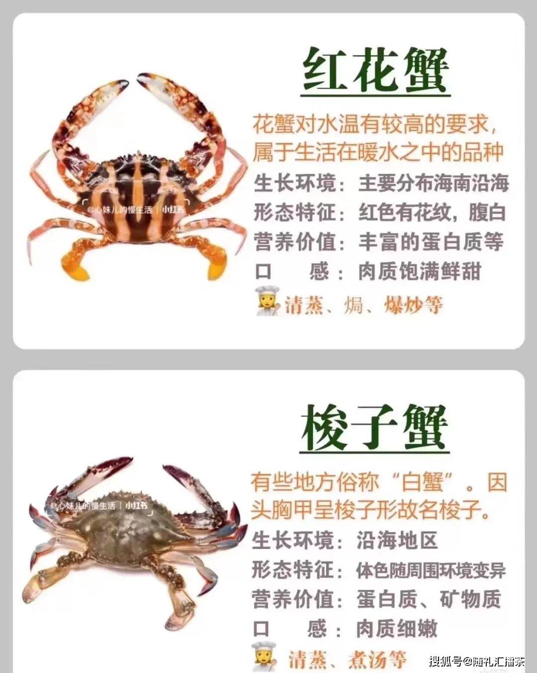常见螃蟹的区别