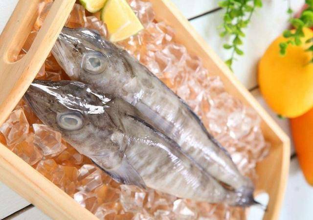 这种鱼富含dha和钙,由于气候变暖,10年后可能就吃不到了_冰鱼_营养