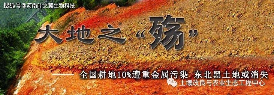 叶之翼肥料学堂:土壤重金属污染造成生态破坏和环境恶化,严重危害人类