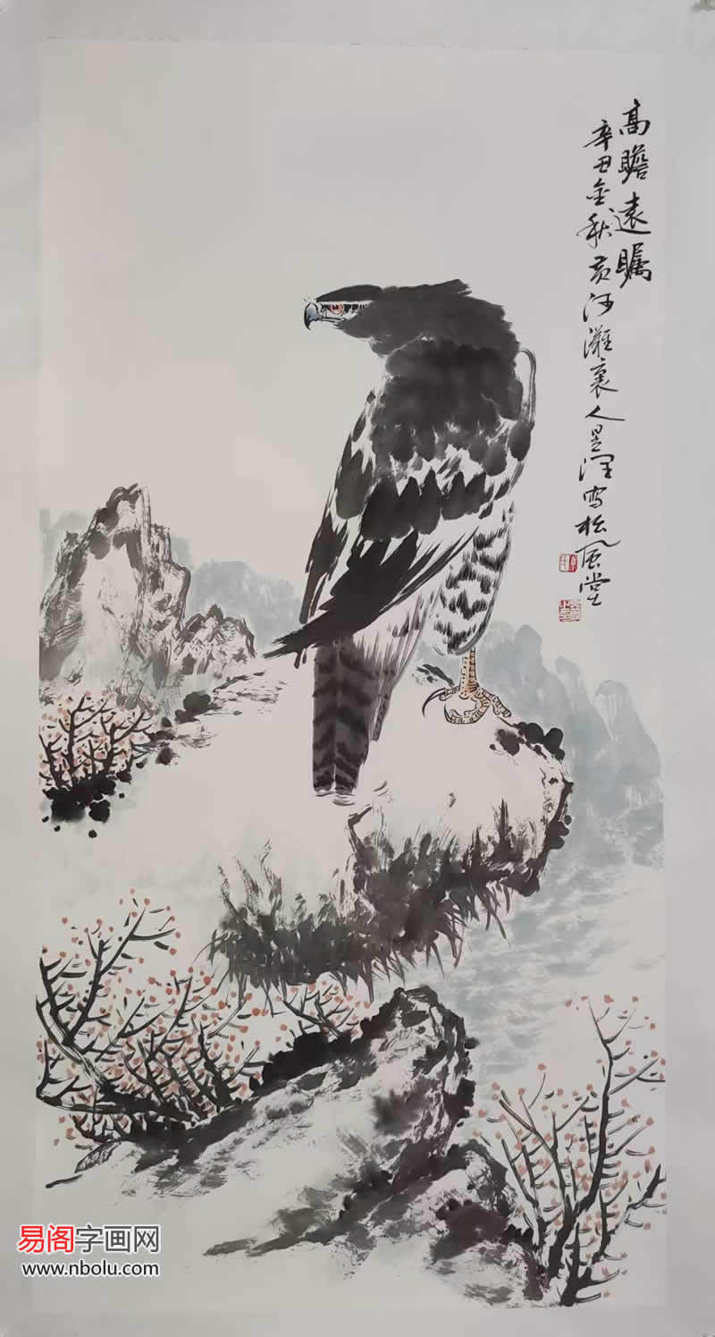 山东画鹰名家图片