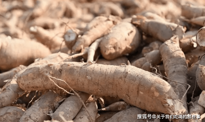 木薯有毒，木薯粉条能吃吗？木薯和红薯有啥不同？弄懂心里才有底