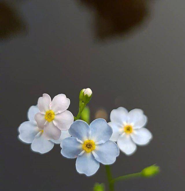 温馨美好的励志短句 送给为梦想努力的自己 什么 都能 路是白