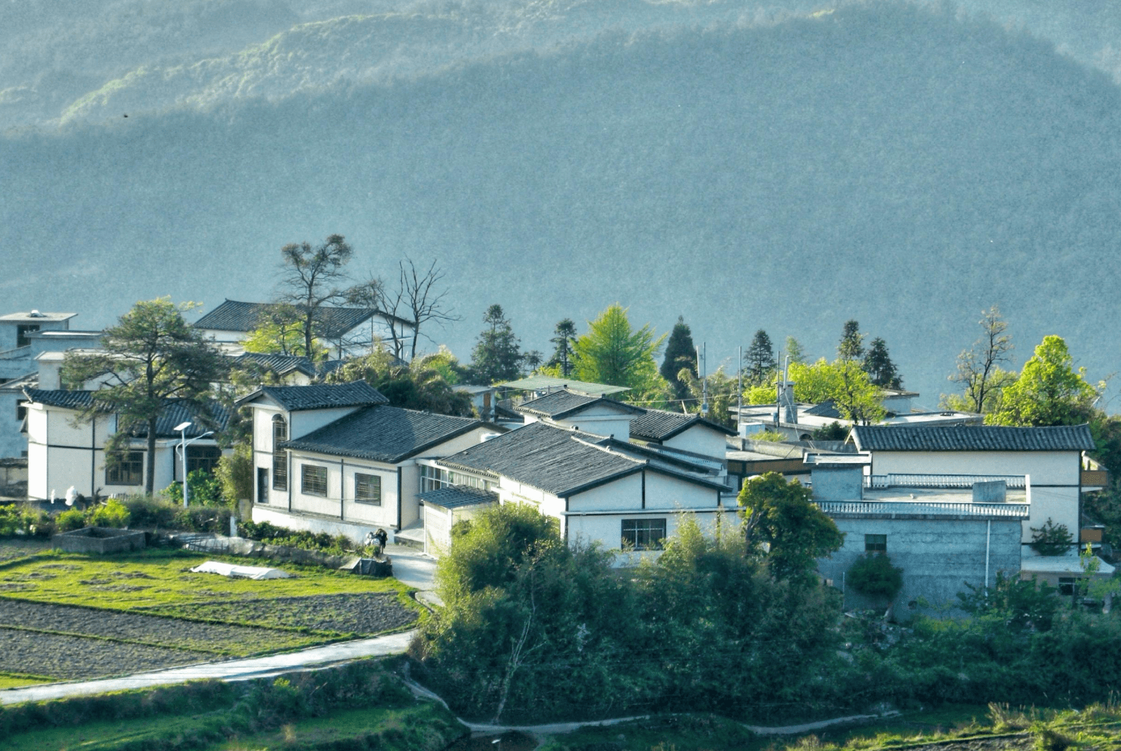 春赏贵州丨花溪石门村：田园间春意盎然