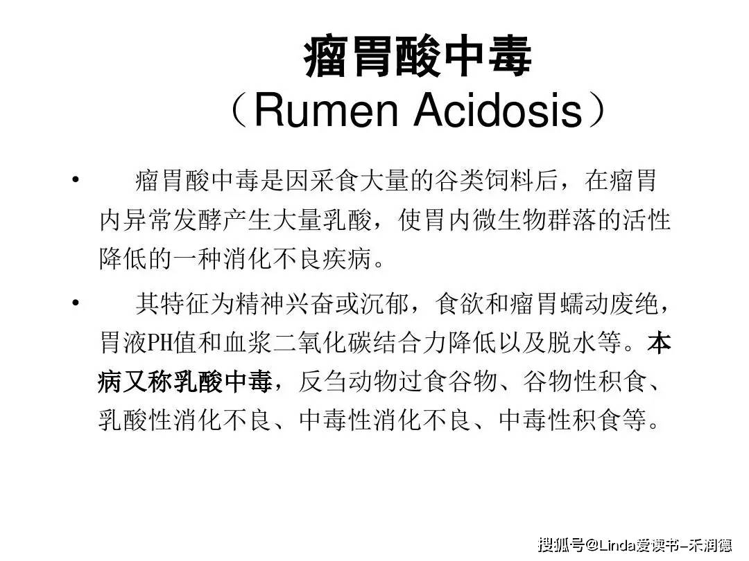 育肥牛瘤胃酸中毒后吃口不好怎么处理