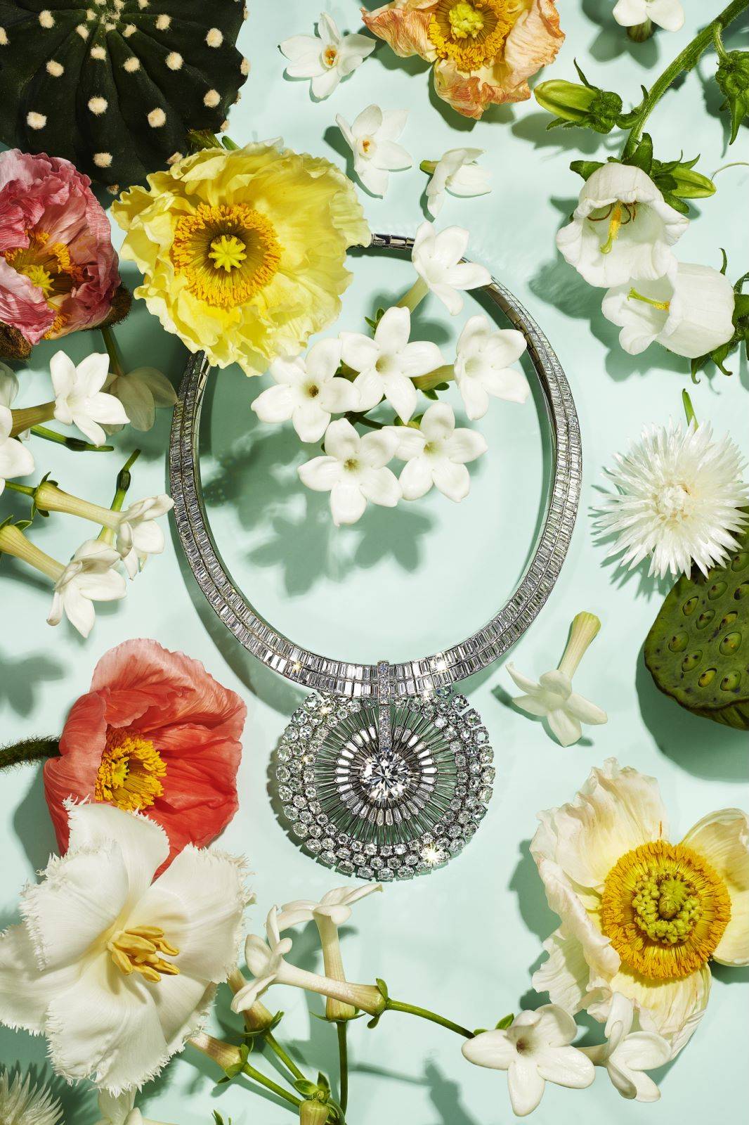 蒂芙尼全新发布2022bluebook高级珠宝系列botanica