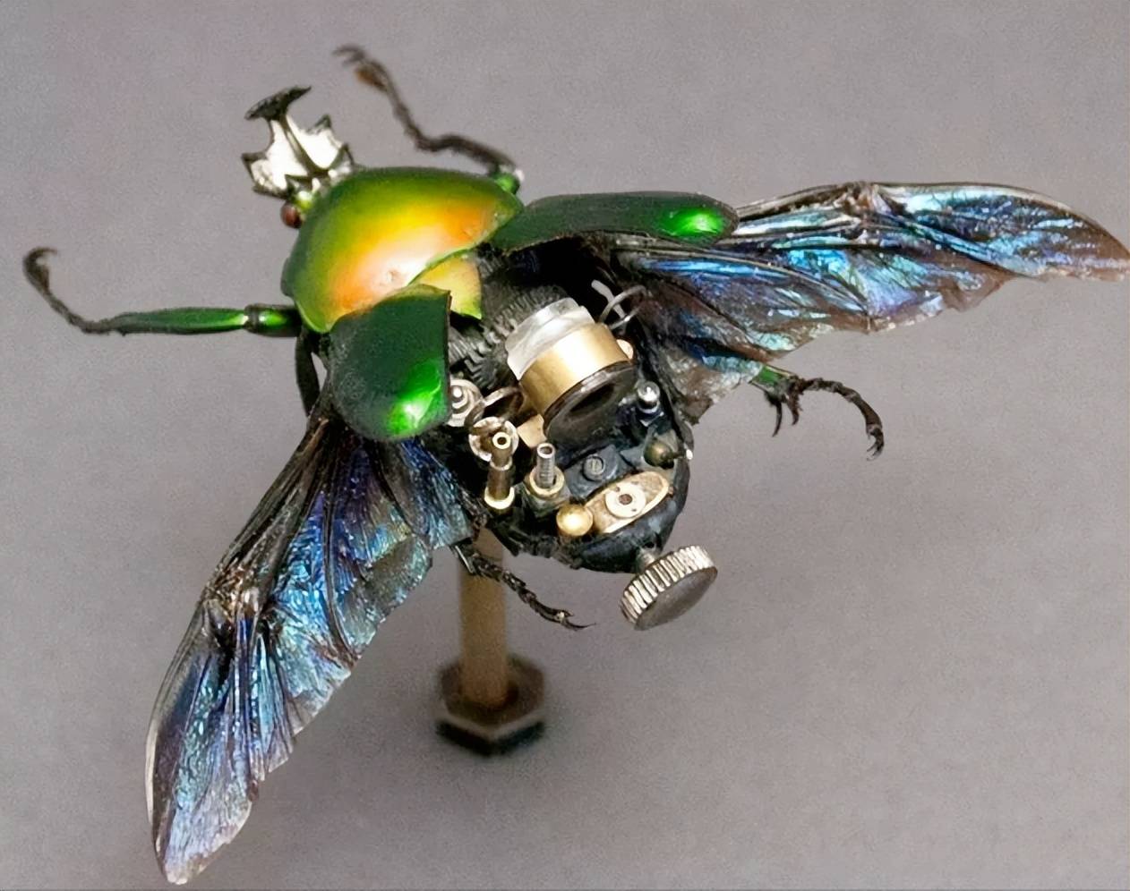 mikelibby和他精巧的机械昆虫们