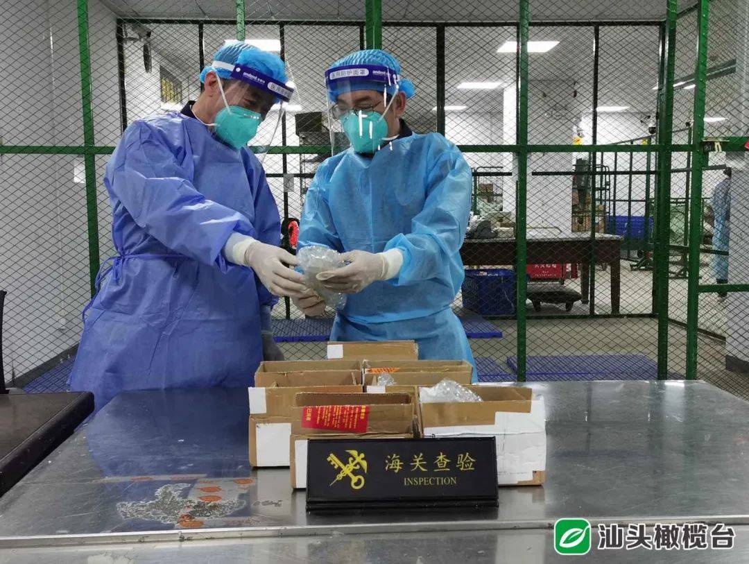 汕头龙湖海关加强邮寄渠道外来物种入侵监管