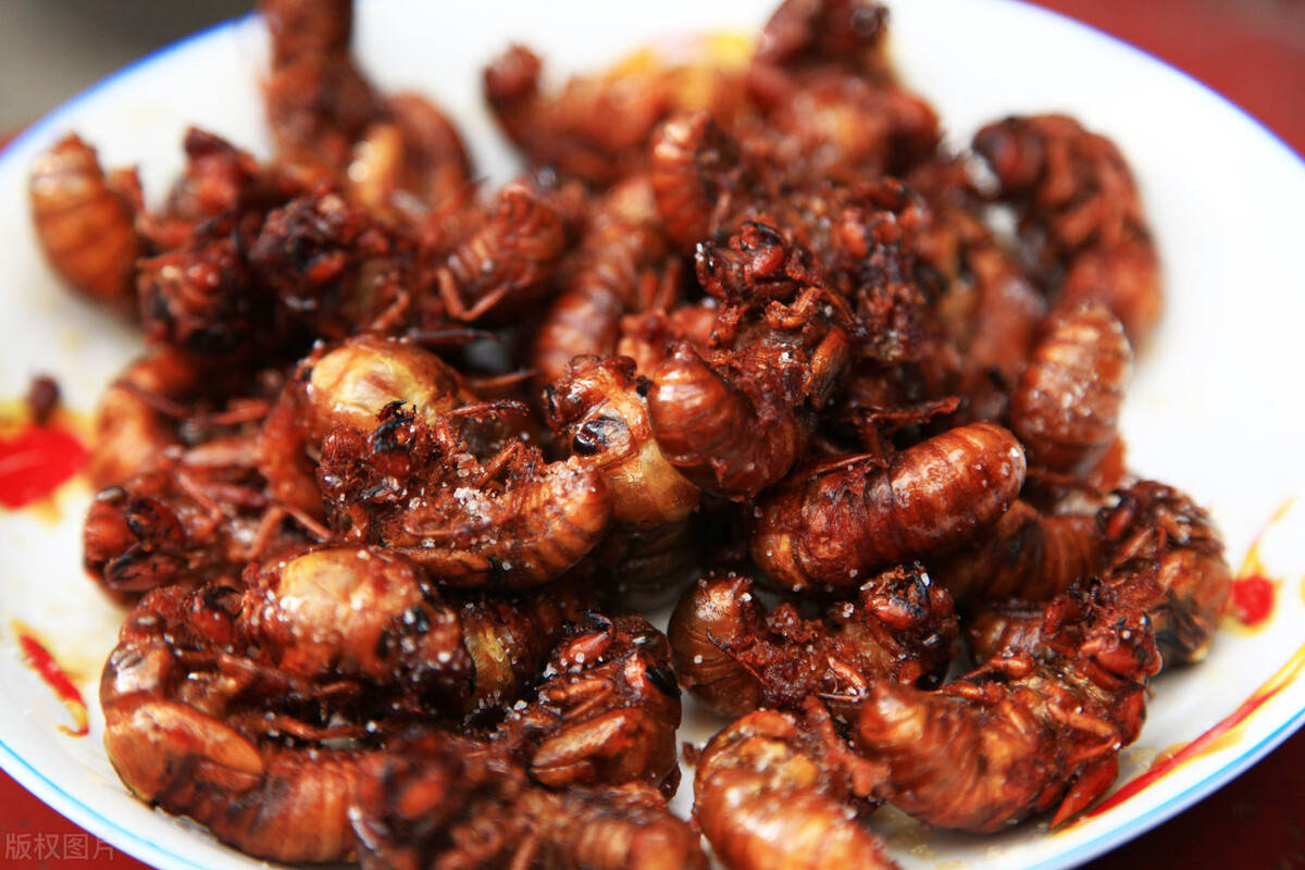 诸城美食多接地气让人回味无穷