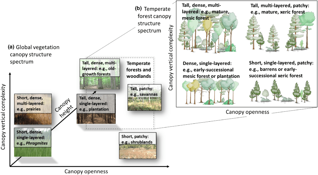 ecollett基于综合特征定义了一系列植被冠层结构类型