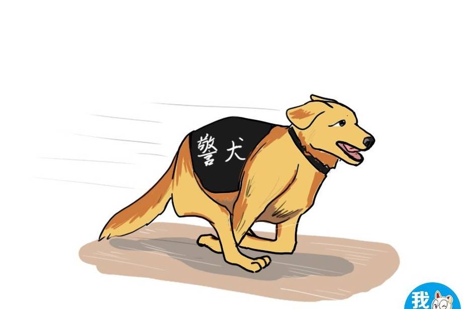 原创辟谣警犬退役后被狗贩收走别傻了人家过的才是神仙日子