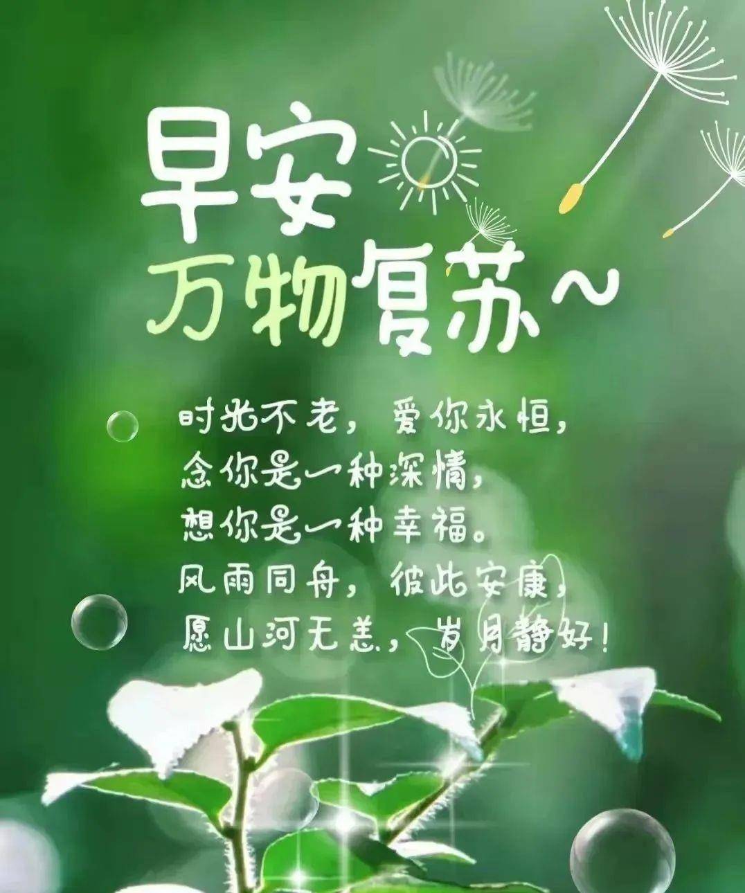 原創創意唯美早上好祝福語圖片大全免打字春日清晨早安問候語圖片文字