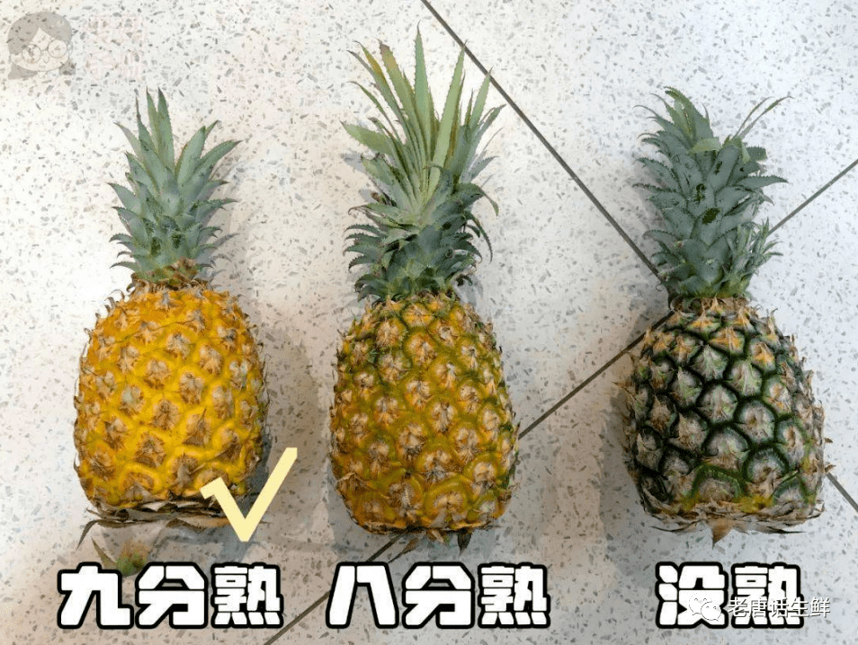 菠萝黄色和青色哪种好到底有啥不一样但品鉴结果偏偏是