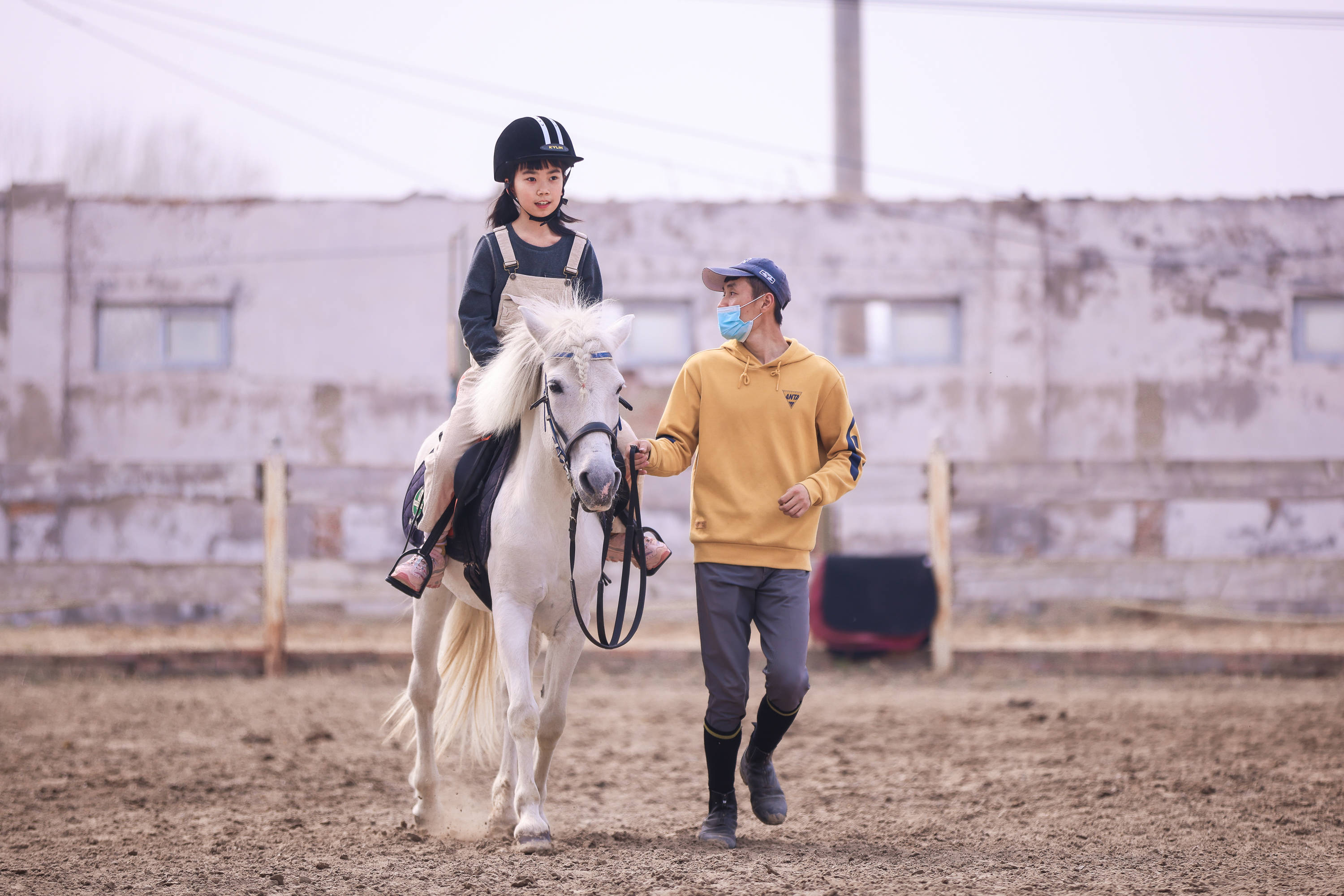 北京运通兴宝bmw售后亲子马术体验日圆满结束