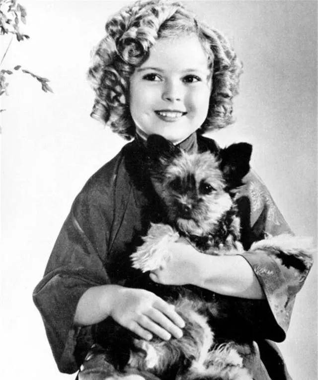 原创20世纪30年代好莱坞著名童星天使般的精灵秀兰邓波儿的一生