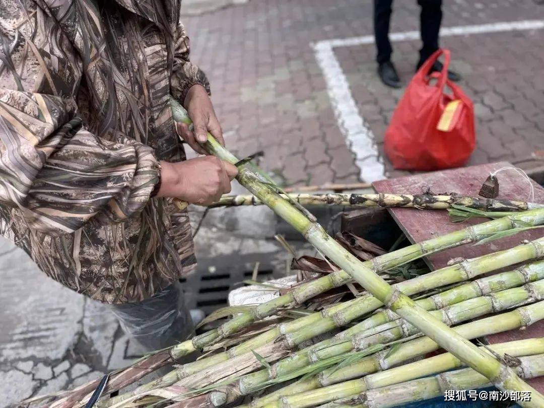 潭州白蔗图片