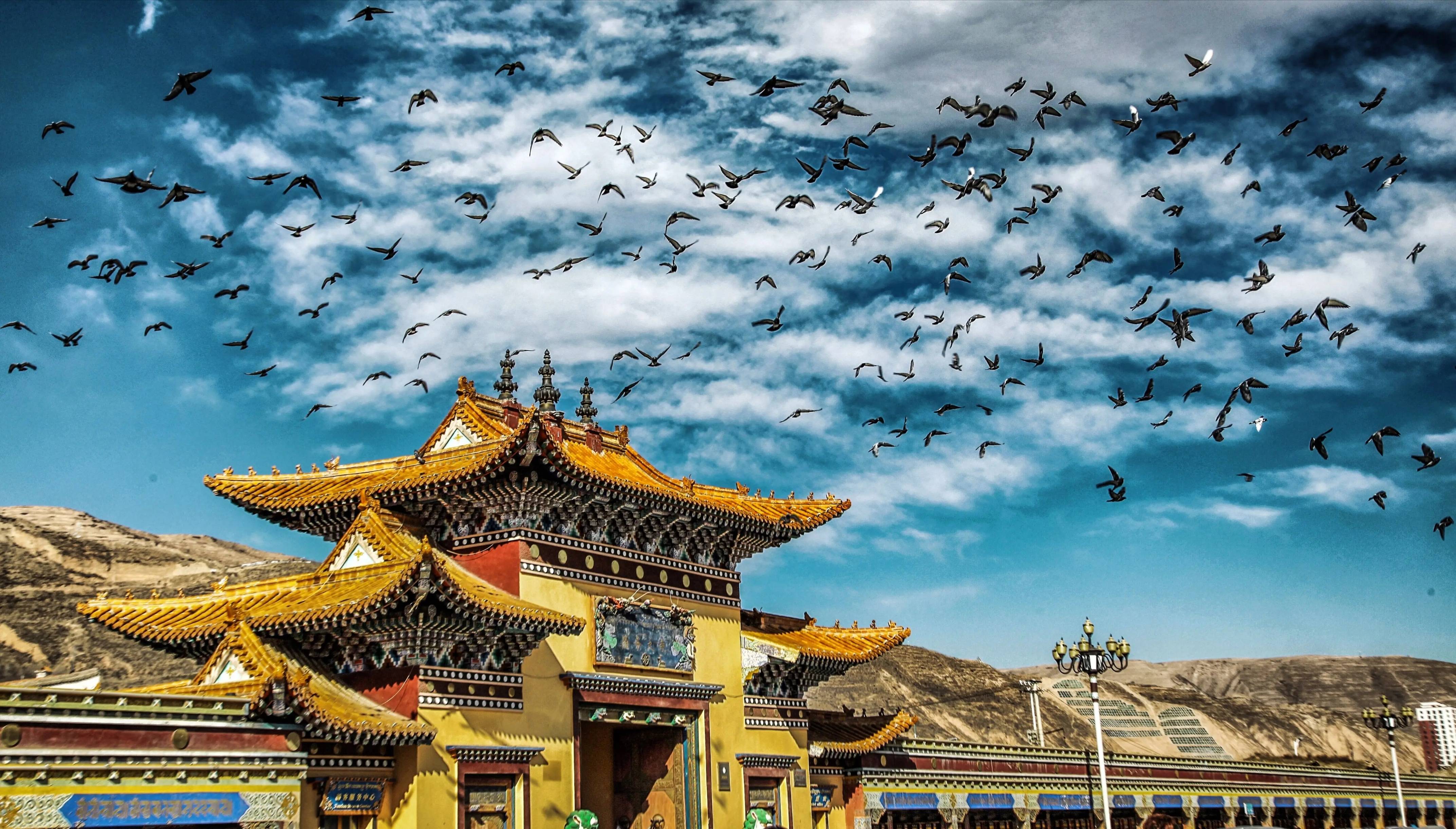 吾屯寺坐落在青海省黄南藏族自治州同仁县隆务河东岸的吾屯村,分为