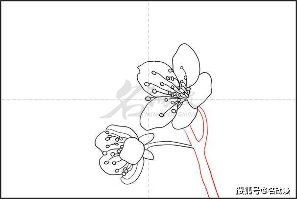 零基础也能学会的梅花绘画教程