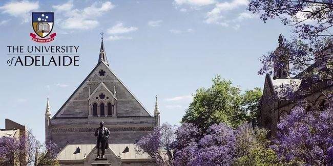 院校资讯重磅官宣西澳大学新增十大本科学位