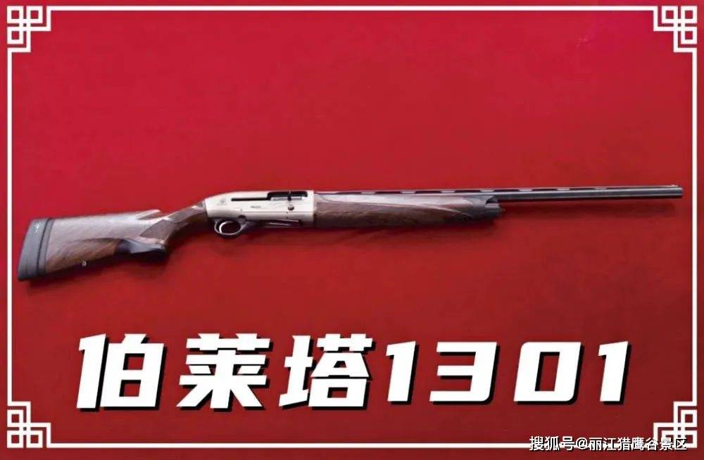 4mm)口径霰弹是出了名的"巨兽"枪支,厉害程度可想而知