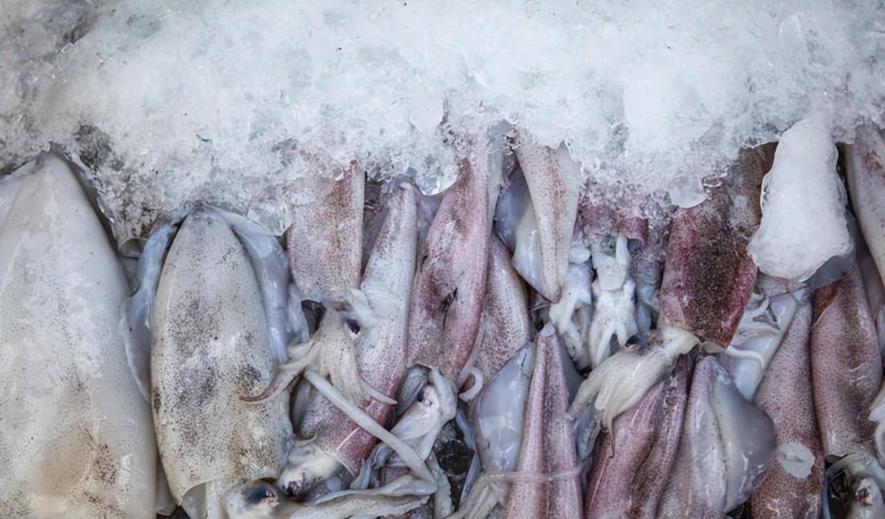 乌贼的营养价值及功效与作用 墨鱼怎么做好吃