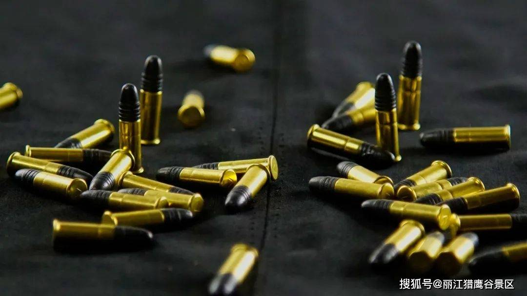 长期训练教官皆是长期在军警部队服役封闭,独立,安全且合法枪支弹药库