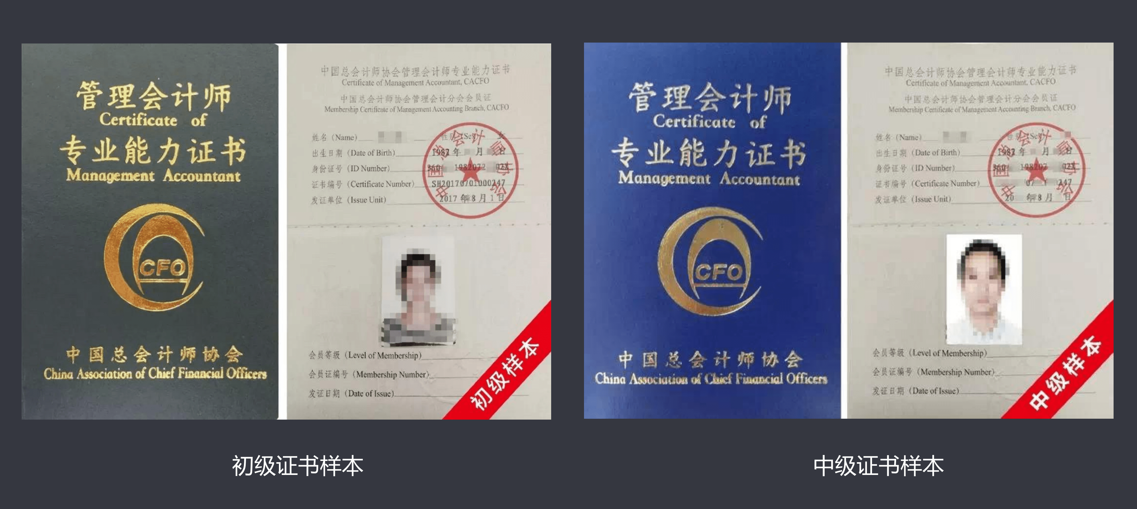 由中国总会计师协会(中总协)颁发,是中国本土管理会计人才铂金级证书