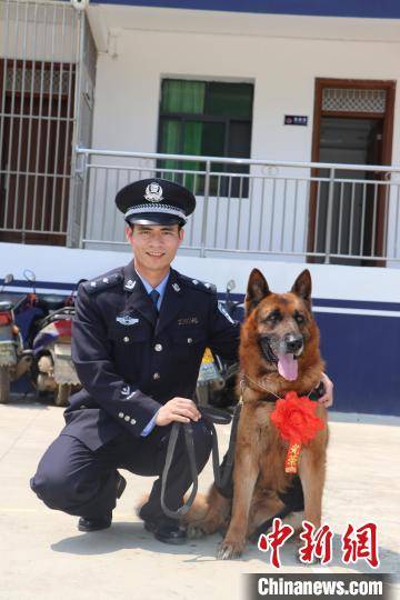 中越边境云南缉毒犬年迈退役艰难起身告别战友