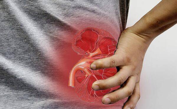 女性月经不调在中医理论中,肾主封藏,所以当人体出现肾阳虚的时候