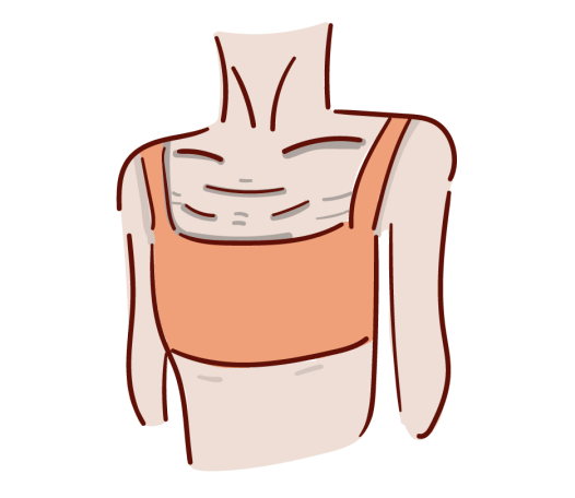 雌激素_卵巢_乳房