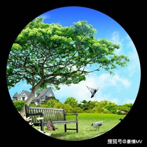 适合长期用的微信头像靓丽的风景适合现在使用的