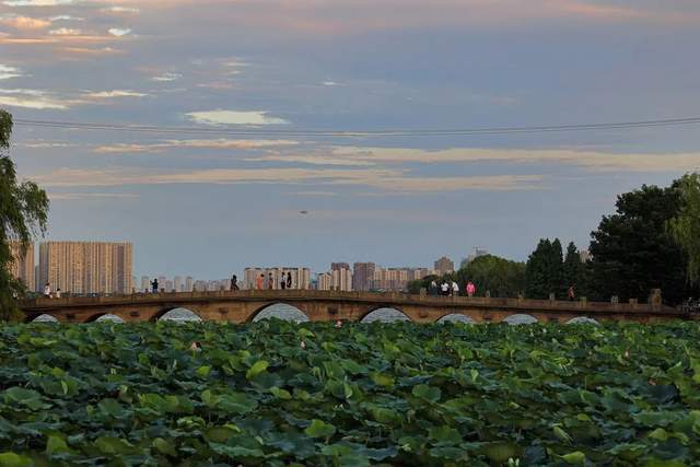 圖 / 楊惠新09彩 雲 橋《橫塘》【宋】范成大南浦春來綠一川,石橋朱塔