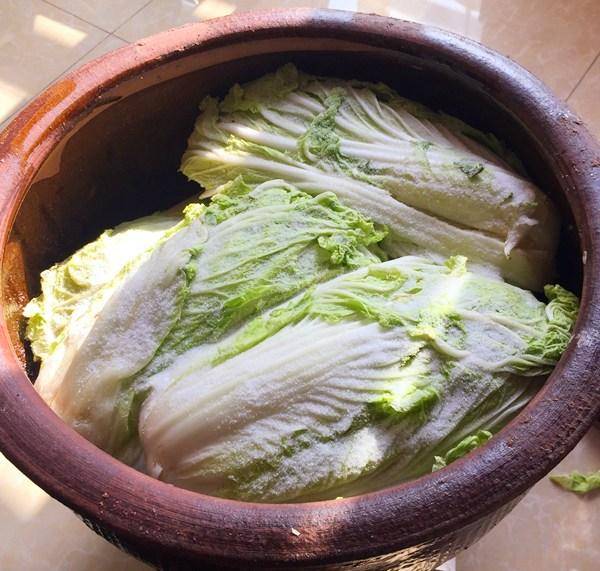 酸菜别再花钱买了 用这方法腌最简单 一周变酸 干净卫生又好吃 白菜 往上面 步放