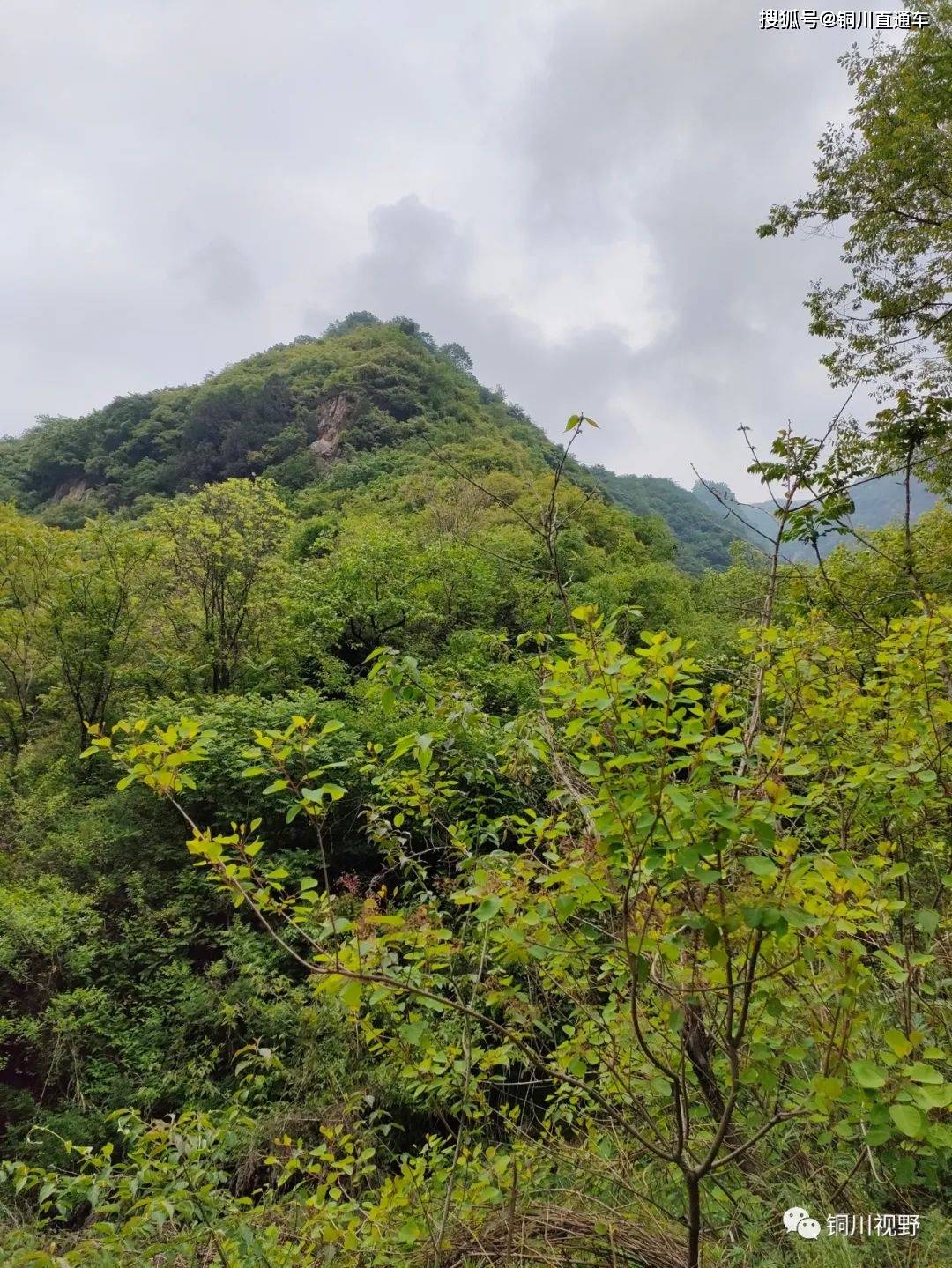 初春踏青終南山下鄠邑區尖山風光