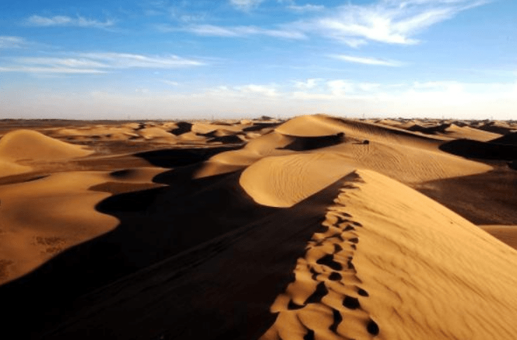 为什么说在沙漠迷路，最好是原地不动，越走动越容易丧身于此呢？