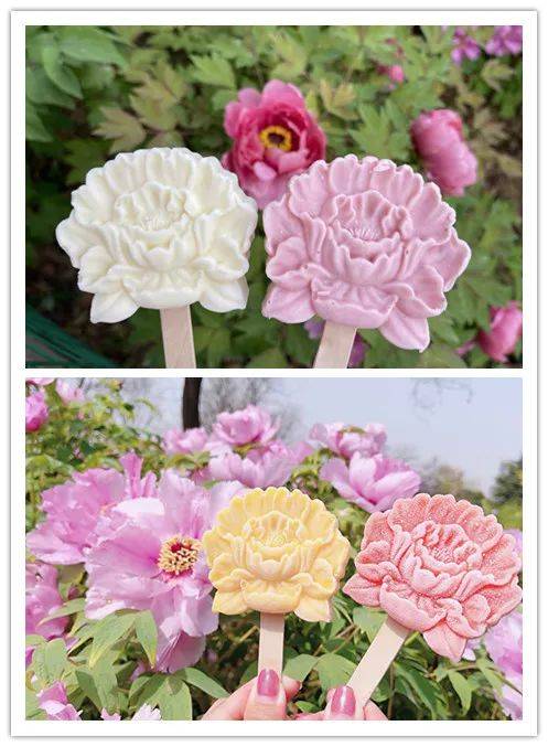 正是牡丹盛开时,赏牡丹花品牡丹冰淇淋_洛阳_位置_西门