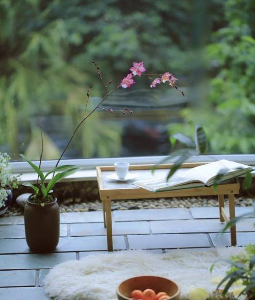 原创过淡雅生活自己的人生自己负责