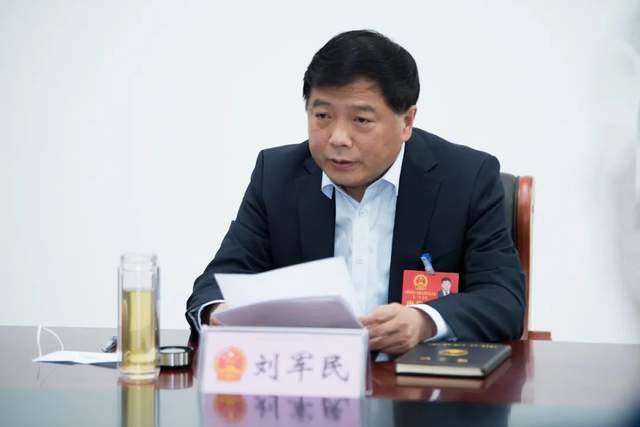 刘军民参加黄埠镇代表团审议