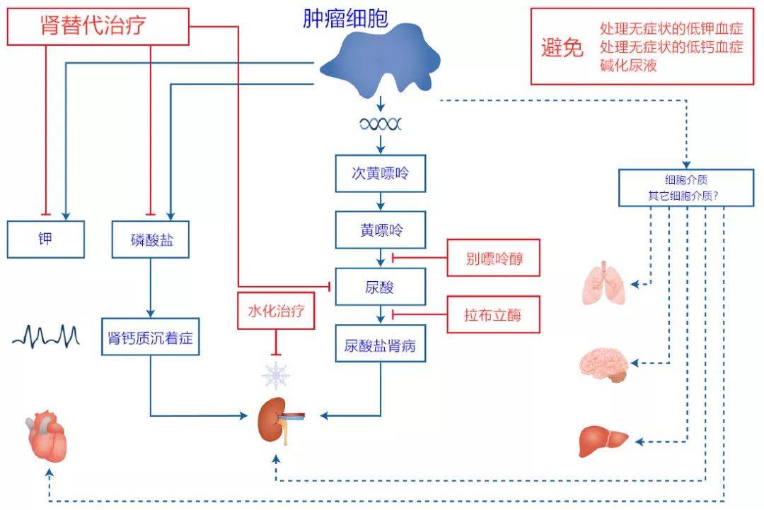 丙谷转氨酶偏高需要吃药吗_谷丙转氨酶高吃什么_丙谷转氨酶一直高降不下来