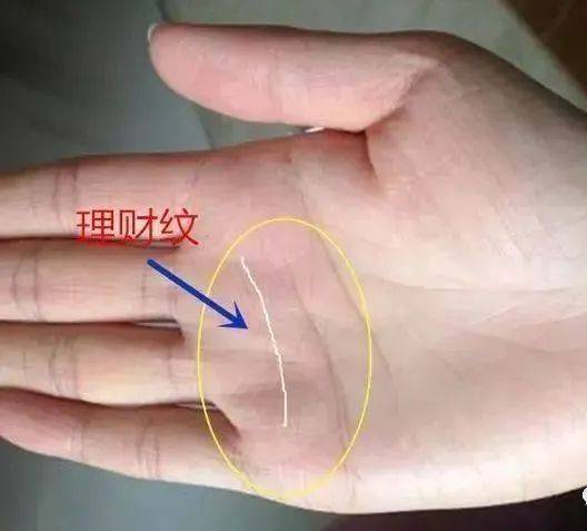 理财_事业_纹路