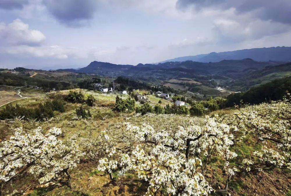 世界地球日 | 家鄉渝北,山川河流皆是溫柔_統景_公園_大盛鎮