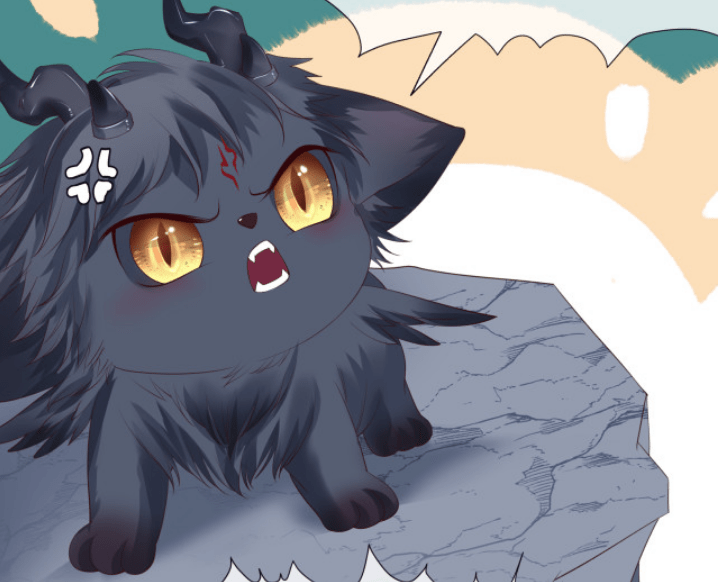 银龙_混沌_保护